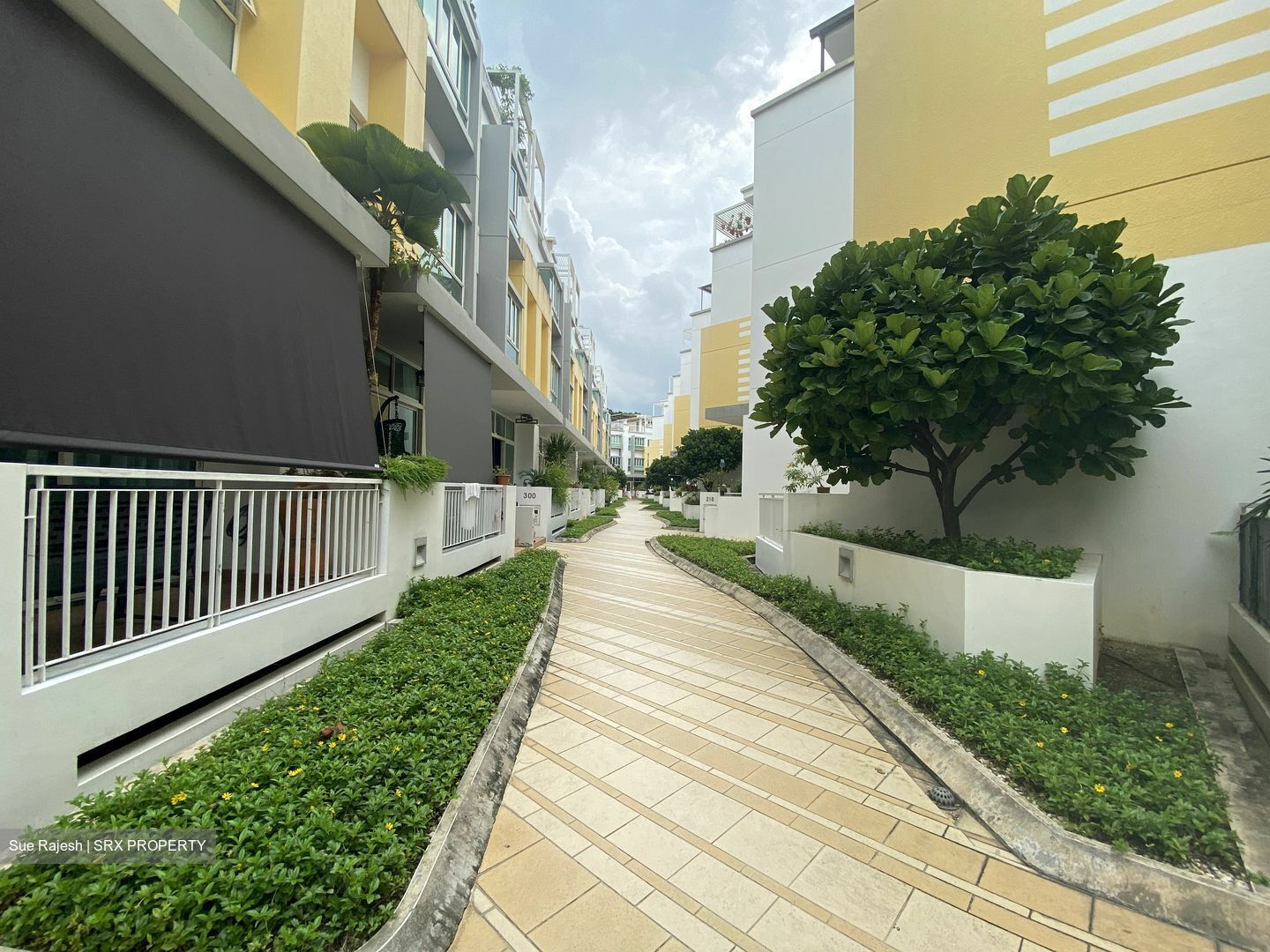 The Shaughnessy (D27), Terrace #367005431